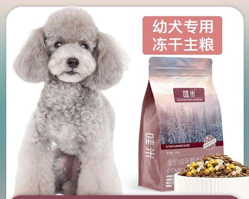 2月大的泰迪犬怎么喂食狗粮？有哪些喂食技巧？