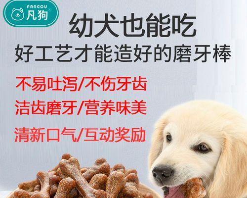 2月大拉布拉多犬喂食量表是多少？如何制定喂食计划？