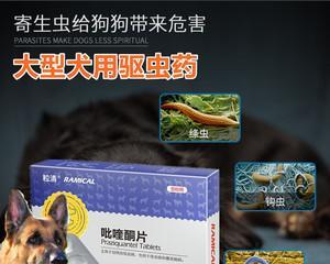 30天的小狗驱虫药物推荐？如何使用？