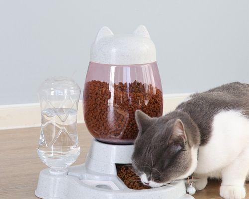 40天的小猫怎么喂食？正确的喂养方法和注意事项有哪些？