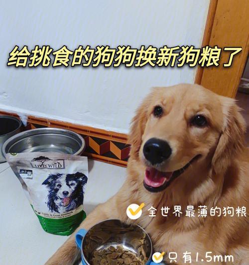 40天的小狗吃多少狗粮？幼犬喂食量和次数如何确定？