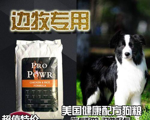 边牧幼犬狗粮泡多久？幼犬狗粮泡发时间？