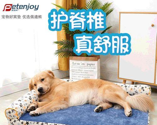 2岁拉布拉多犬尺寸是多少？拉布拉多犬标准尺寸？