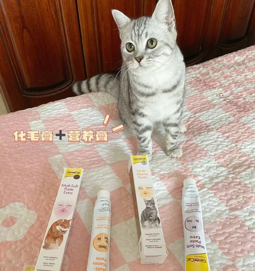 6个月大的猫咪吃什么化毛膏？猫咪化毛膏推荐？