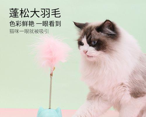 3个月猫咪咬出血怎么办？猫咪咬伤处理方法？