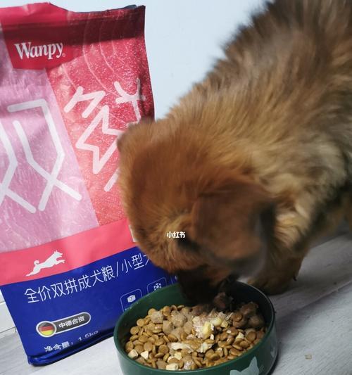 5个月狗狗吃多少狗粮？幼犬狗粮喂食量如何计算？