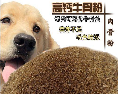 10斤小狗喂多少狗粮？幼犬喂食量如何计算？