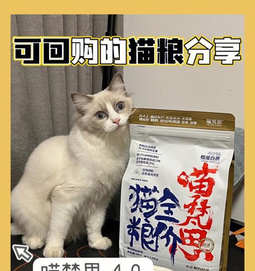 6个月的布偶吃什么猫粮好？布偶猫幼猫猫粮推荐有哪些？