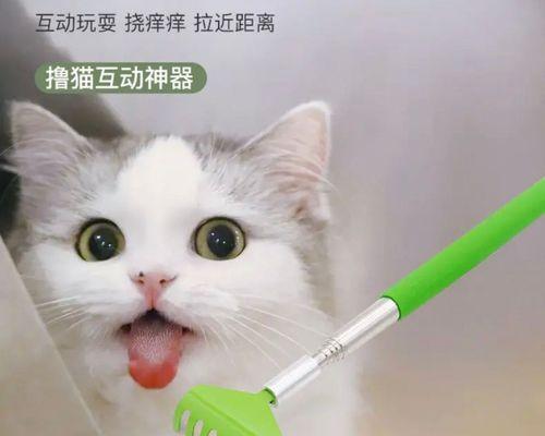 被小猫咪抓破口了怎么办？伤口处理方法有哪些？