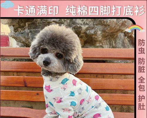 比熊幼犬肛门毛怎么剪？有哪些注意事项？