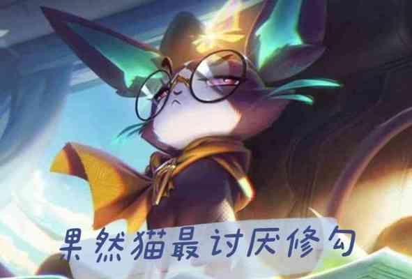 lol猫咪英雄补丁更新了什么？有哪些新变化？