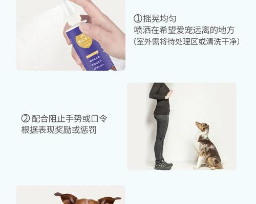 按压膀胱刺激撒尿猫咪怎么办？有哪些解决办法？