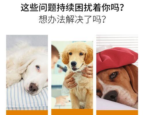 2个月猫便秘怎么办？2个月猫便秘吃什么药？