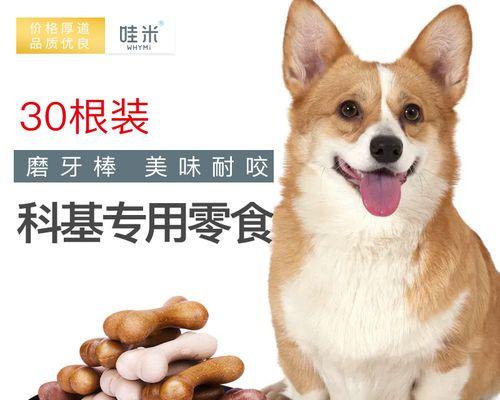 4个月狗狗可以吃什么？狗狗幼犬的饮食安排是什么？