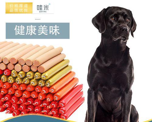 8个月拉布拉多打架怎么办？拉布拉多幼犬打架解决方法？