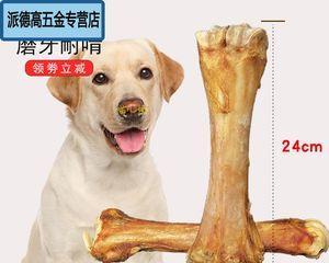 4个月拉布拉多吃骨头可以吗？拉布拉多幼犬饮食禁忌有哪些？