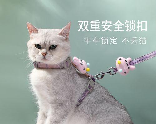 被小猫挠了猫死了怎么办？被猫抓伤后的处理方法有哪些？