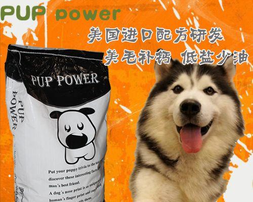 阿拉斯加犬用什么品种的狗粮好？不同品种的狗粮有哪些推荐？