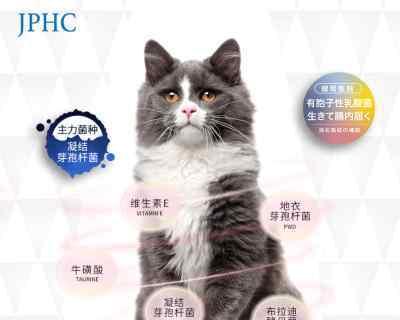 5个月的小猫呕吐拉肚子怎么办？猫咪的消化问题有哪些解决方法？