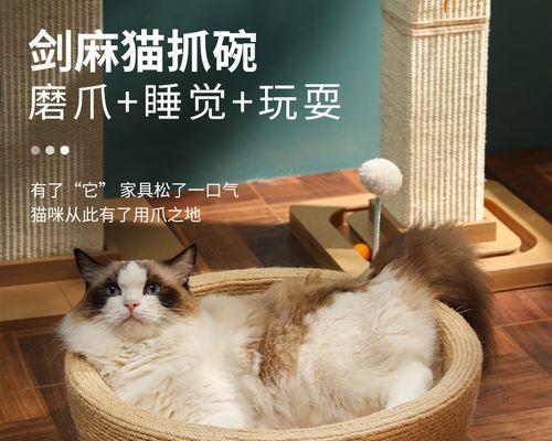 4岁的猫咪大便干燥怎么办？猫咪的排便问题有哪些解决方法？