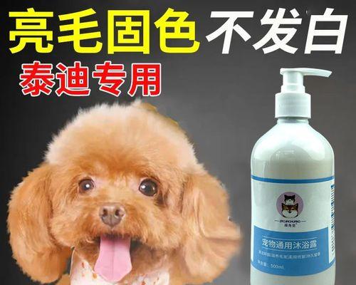 2个月的泰迪食量多少？泰迪幼犬的食量和饮食安排是怎样的？