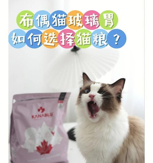 3个月布偶吃什么猫粮？布偶猫的饮食安排有哪些建议？