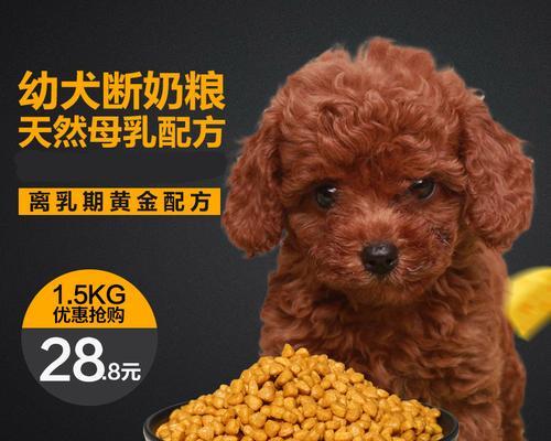 比熊吃什么牌子的狗粮好？比熊犬的狗粮选择有哪些建议？