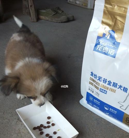 2个月狗狗粮需要泡吗？幼犬狗粮的喂食方法有哪些？