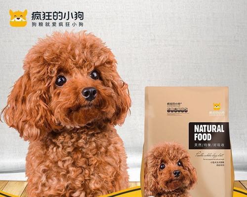 半岁博美吃什么狗粮好？博美犬的饮食安排有哪些建议？