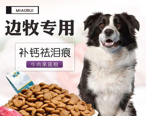 边牧狗粮要软化吗？边境牧羊犬的狗粮喂食方法有哪些？