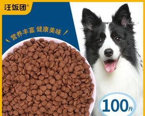 边牧狗粮要软化吗？边境牧羊犬的狗粮喂食方法有哪些？