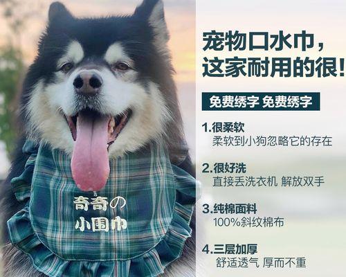 阿拉斯加犬跟萨摩耶那个好养？两种狗狗的饲养难度和特点有哪些？