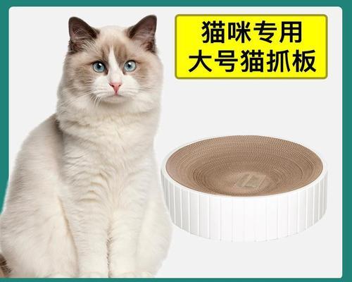 被布偶猫抓伤了一下怎么办？被猫抓伤后的处理方法有哪些？