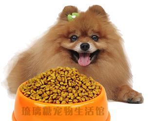 2斤博美一天吃多少狗粮？博美犬狗粮喂养量是多少？