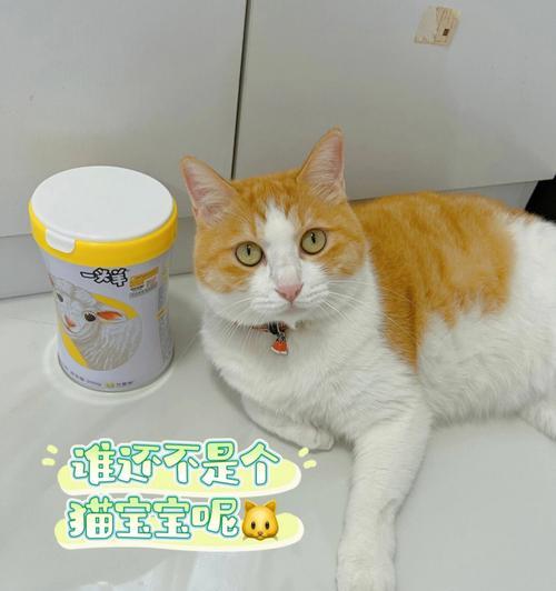 16天小猫可以喝羊奶吗？猫咪幼崽喂养有哪些注意事项？