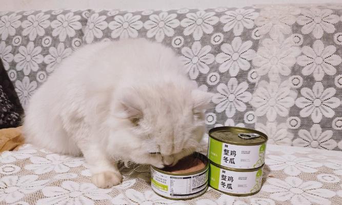 5斤猫咪一天吃多少罐头合适？猫咪饮食量如何控制？