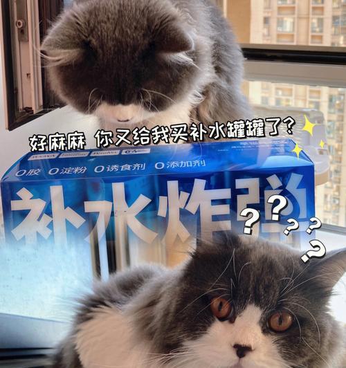 5斤猫咪一天吃多少罐头合适？猫咪饮食量如何控制？