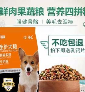 5个月狗狗每天多少狗粮？狗狗幼犬狗粮喂食量是多少？