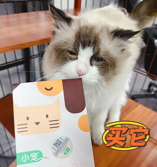 宝宝的益生菌给猫咪吃？猫咪益生菌选择标准是什么？