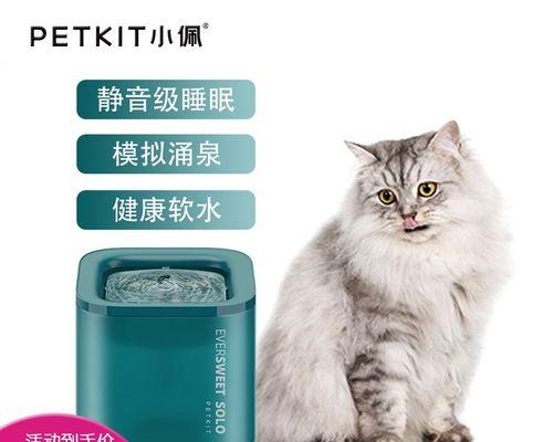 solo猫咪怎么玩？猫咪游戏有哪些玩法？