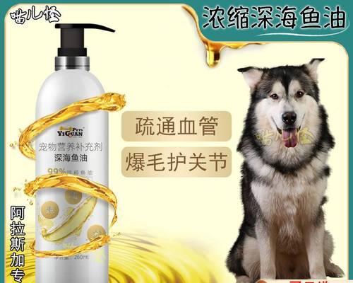 阿拉斯加宠物狗狗怎么养？阿拉斯加犬饲养指南有哪些？