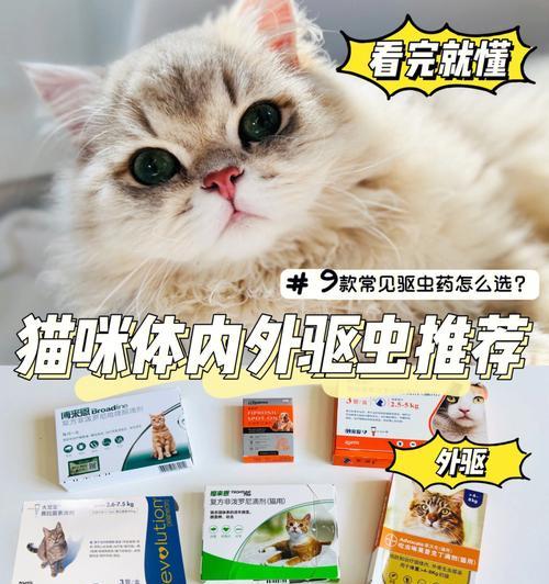 15天猫咪可以驱虫吗？猫咪驱虫的最佳时间和方法是什么？