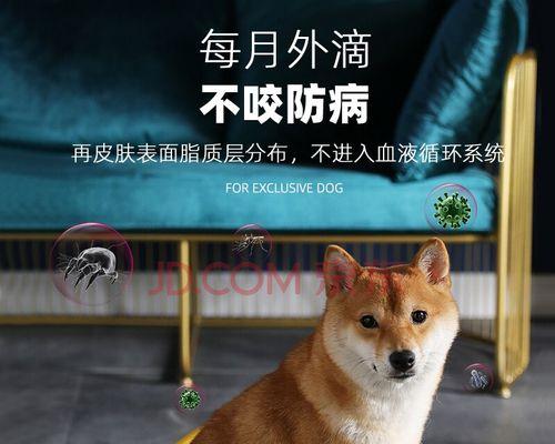 阿拉斯加犬长蜱虫怎么办？宠物驱虫方法及注意事项有哪些？