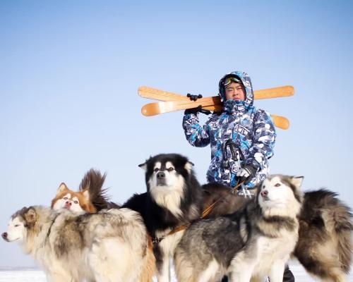 50多天泰迪怎么养？泰迪犬幼犬饲养方法有哪些？