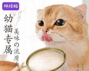 2个月猫咪奶糕要泡软吗？猫咪奶糕喂食方法是什么？