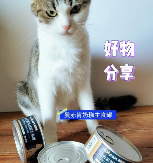 2个月猫咪奶糕要泡软吗？猫咪奶糕喂食方法是什么？