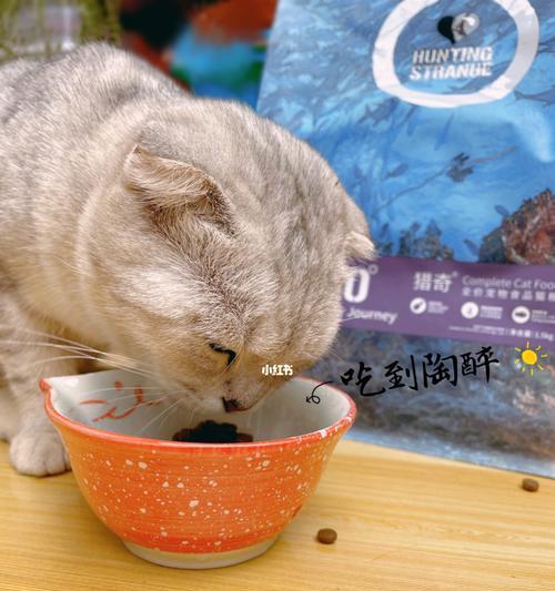 60天的猫咪吃什么猫粮好？幼猫猫粮选择有哪些注意事项？