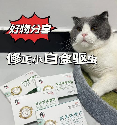 阿苯达唑猫咪连喂几天？猫咪驱虫药使用注意事项有哪些？