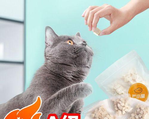 5公斤的猫咪吃多少g猫粮？猫咪体重与猫粮量关系是怎样的？