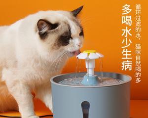 diy狗狗喝水装置怎么做？自制狗狗饮水器需要注意什么？